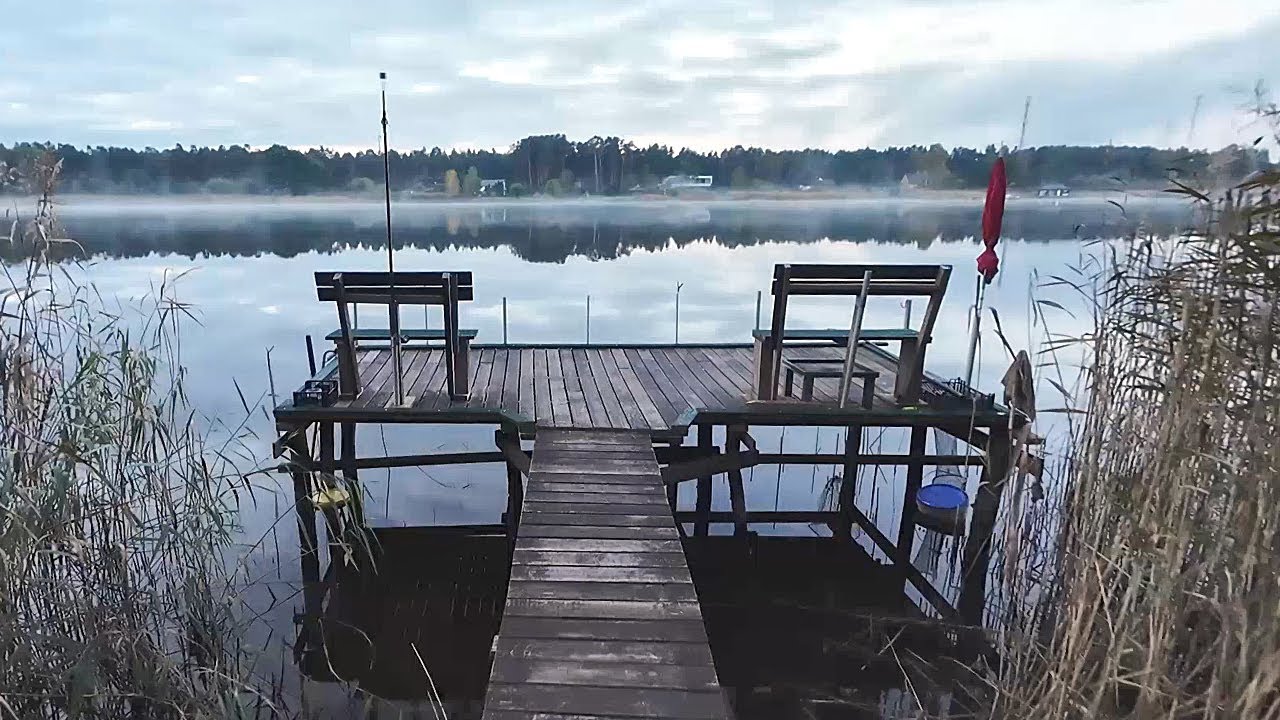 Ловля судака в октябре на донки, как ловить судака на донку | Zandart cope Lielupē