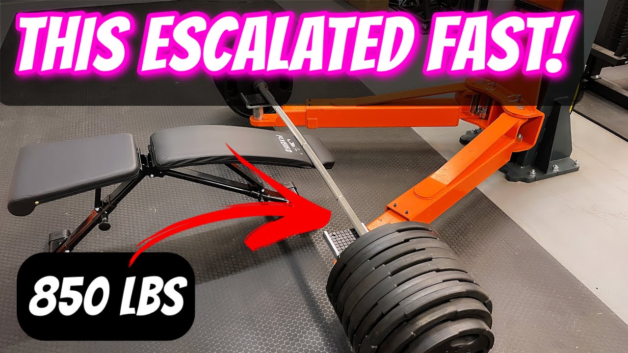 Will this bench hold 800lbs?  Flybird bench review.