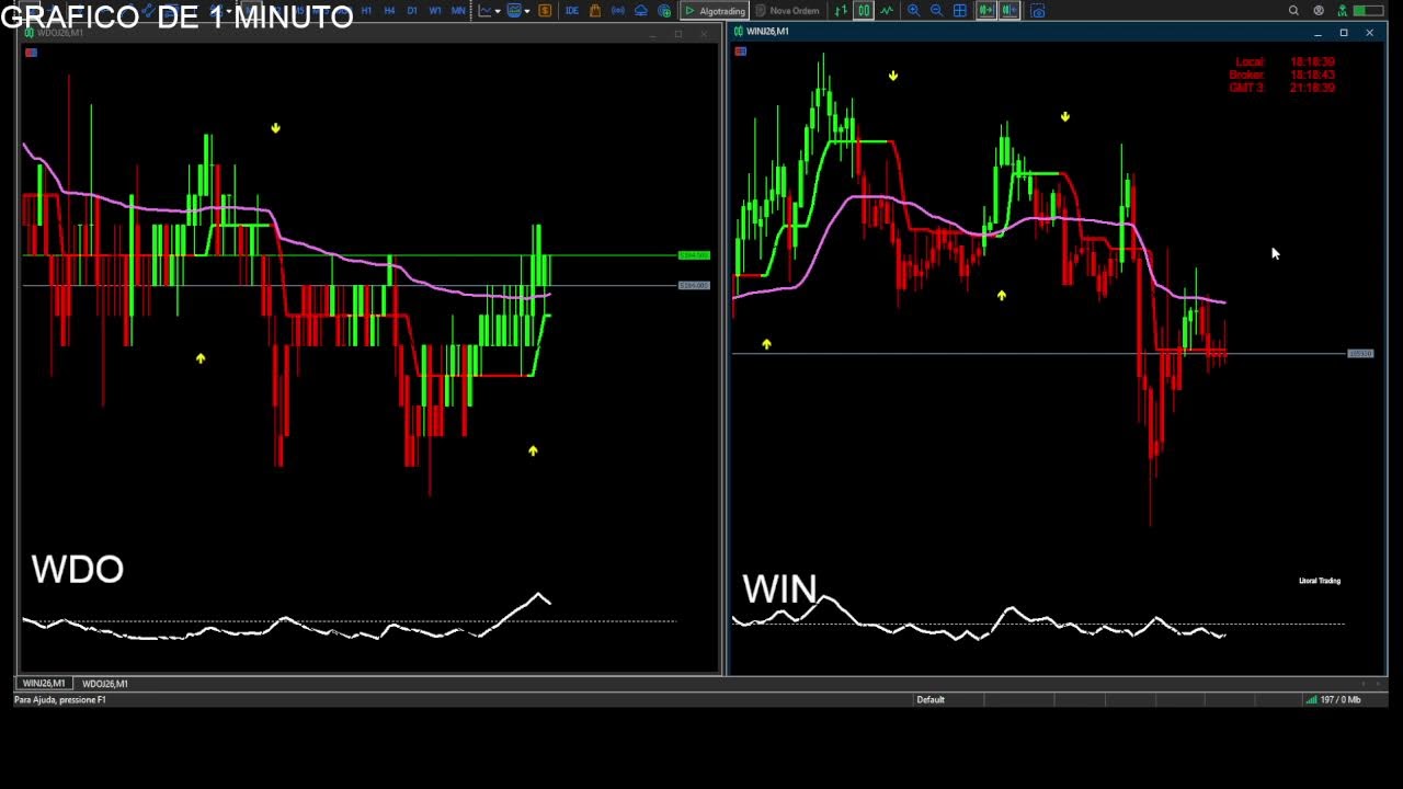 LIVE DAY TRADE INDICADOR  B3 WDO/WIN 11/03/2026  (BRAZILIAN MARKET)