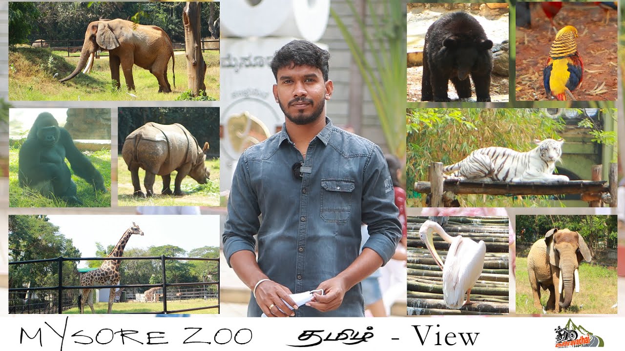 Mysore Zoo | Sri Chamarajendra Zoological Gardens | Tamil View | Chithravadhai #59