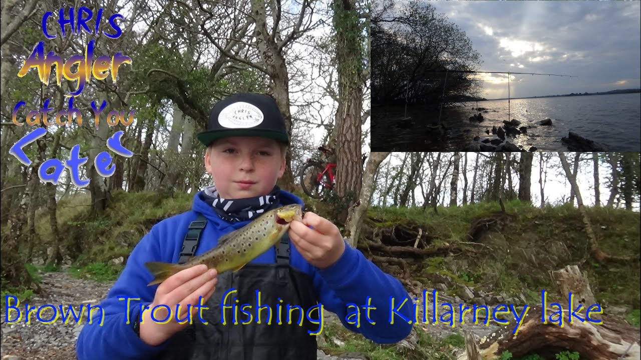 Brown trout fishing at Killarney lake Co-Kerry