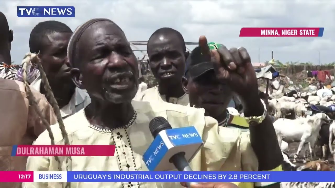 Buyers Complain High Prices Of Ram In Minna