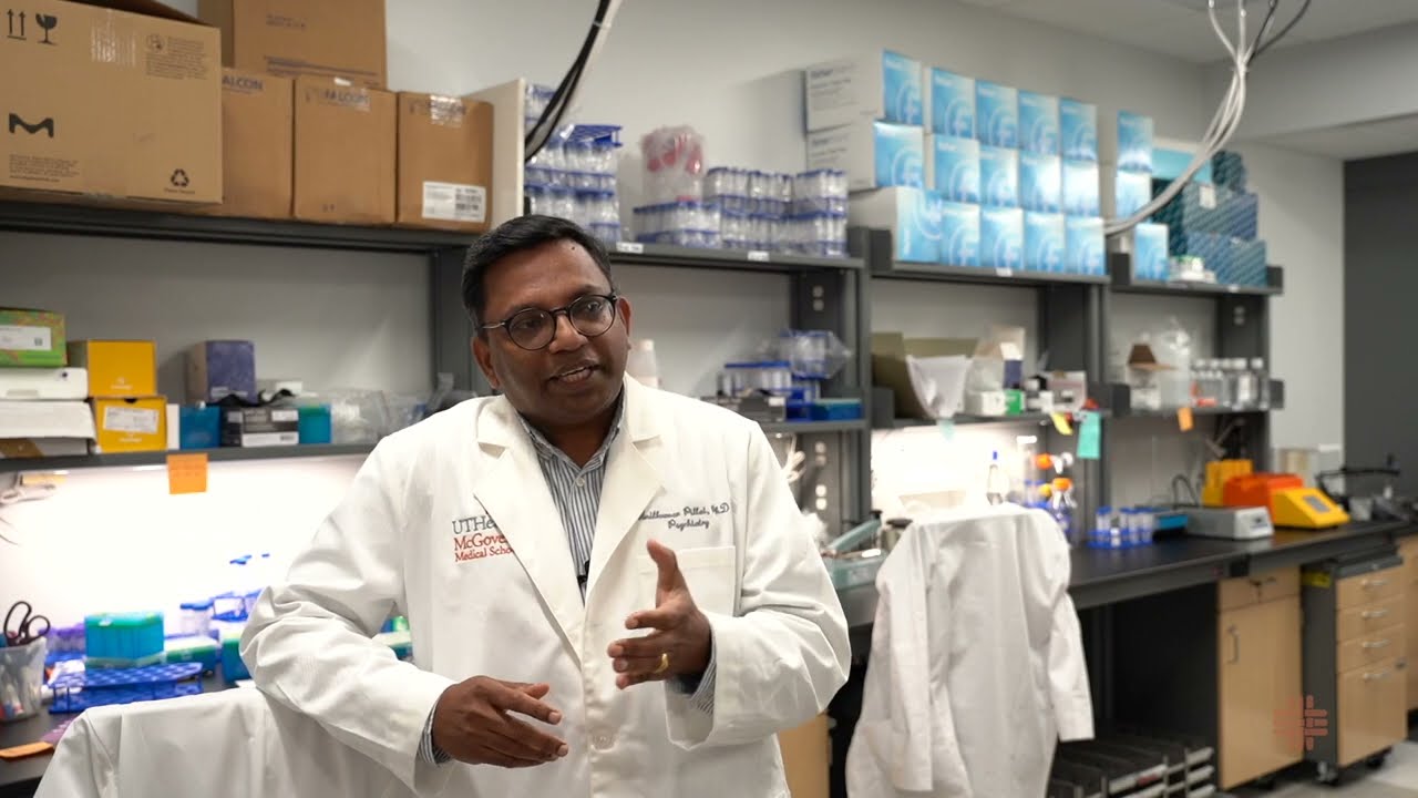 The Translational Psychiatry Program- UTHealth Houston- Dr. Anilkumar Pillai