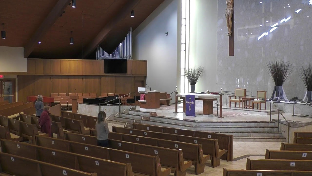 Live from Holy Cross Catholic Church