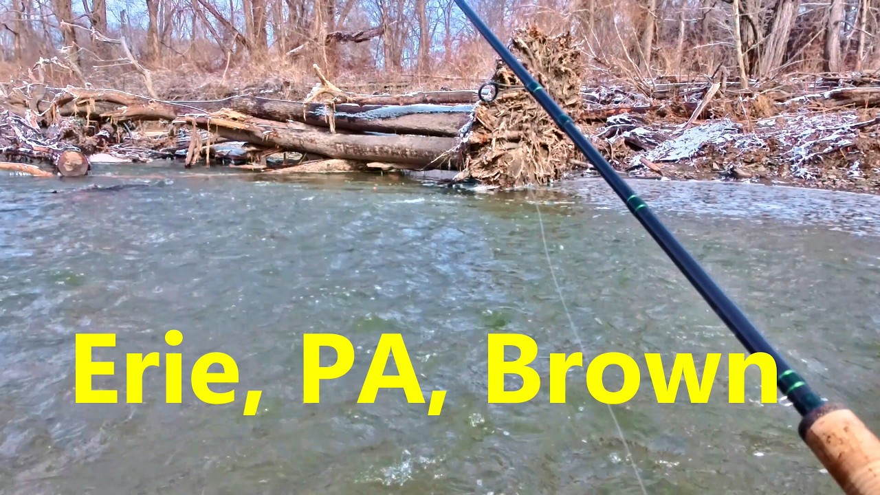 BIG THAW BROWNS: Catching Erie's Giants as the Ice Break