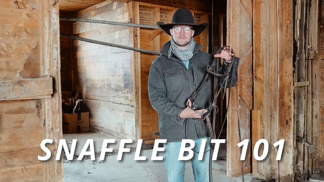 Snaffle Bits 101