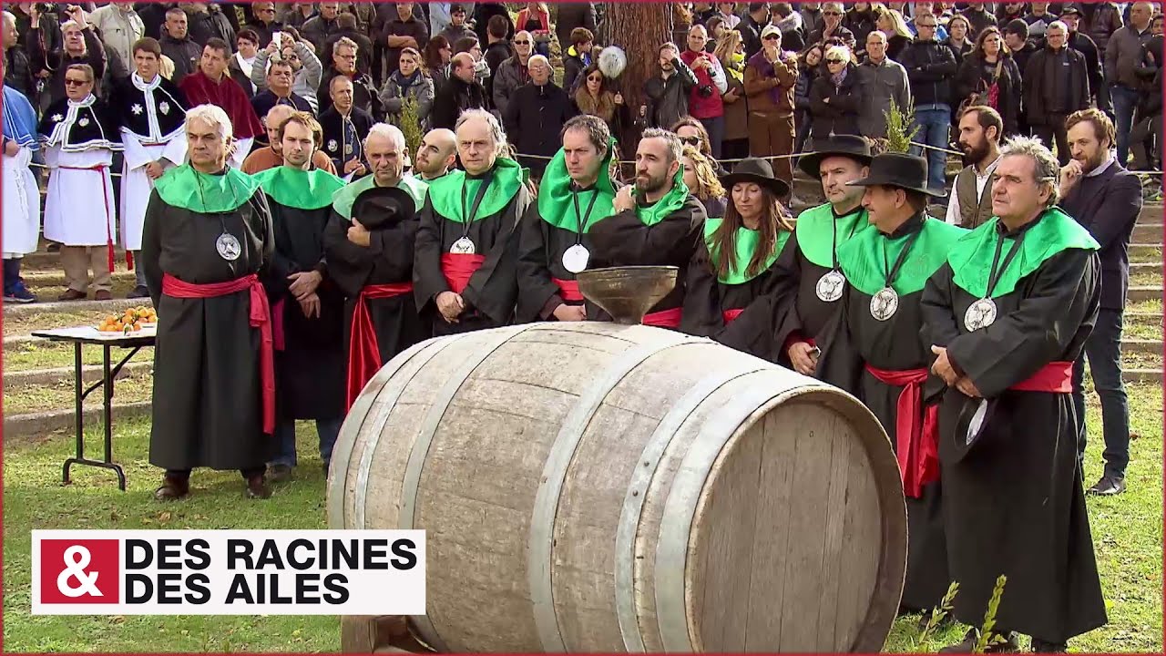 Le vin béni des Corses