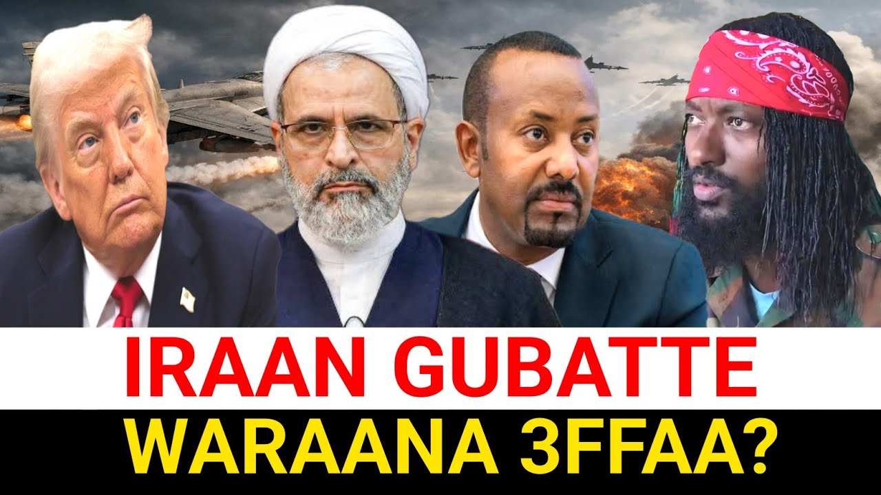 Iraan Gubatte! Shawaan Dhumte? | Moha Oromo 