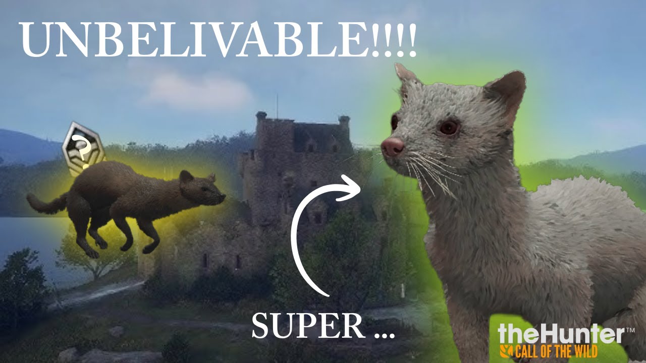 Pine martens HATE ME!!! Heres why-call of the wild