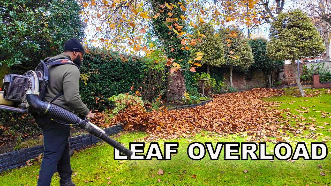 Leaves Were Making This Nursing Home Unsafe… So We Stepped In