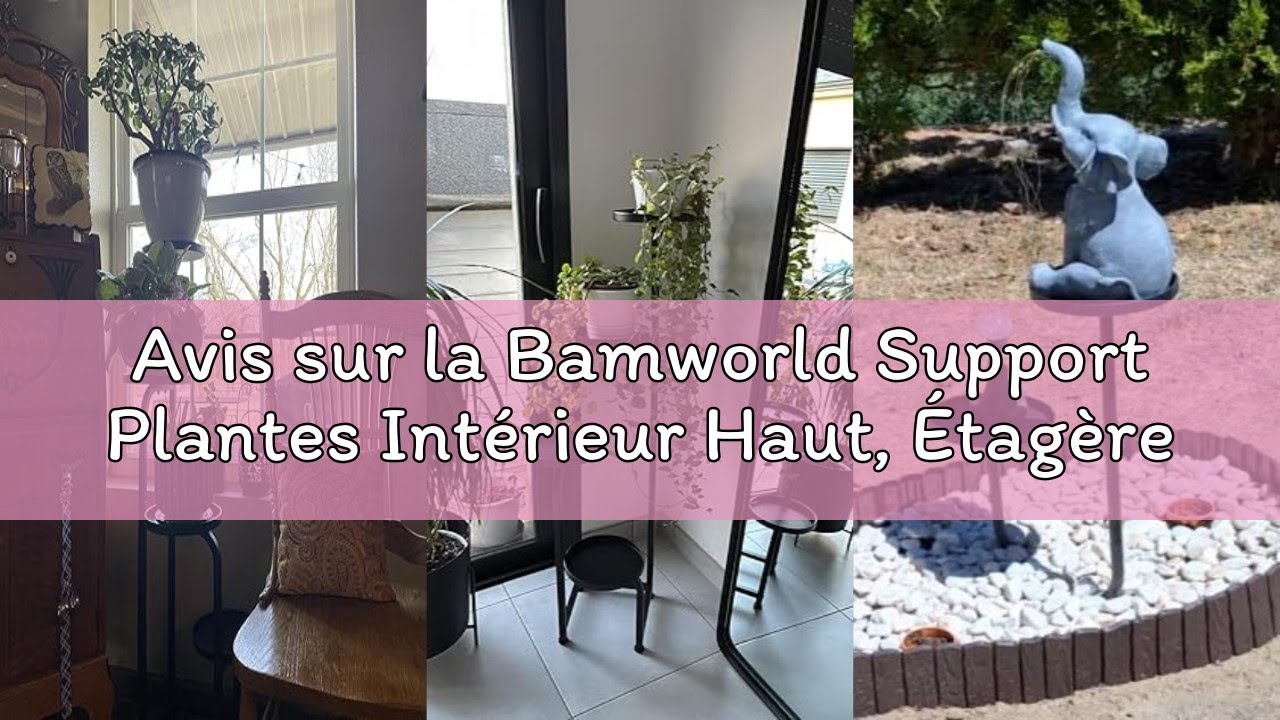Avis sur la Bamworld Support Plantes Int&eacute;rieur Haut, &Eacute;tag&egrave;re Plante M&eacute;tal 4 Niveaux Pour Plusieurs P
