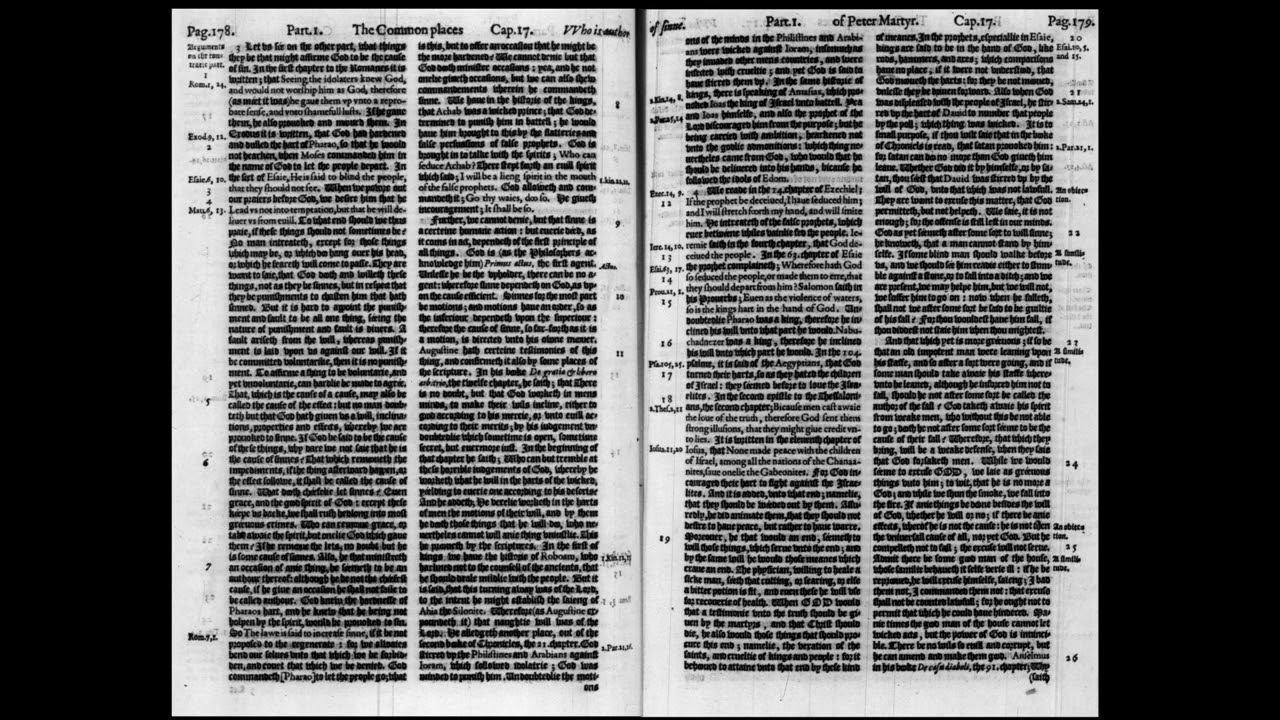 Vermigli: On the Cause of Sin 4