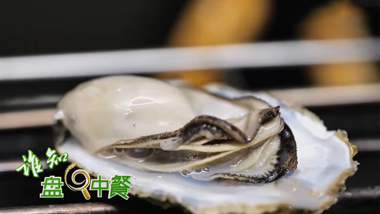 夜宵必备美味！一起解开夏日生蚝肥美密码 | 「谁知盘中餐」20210721