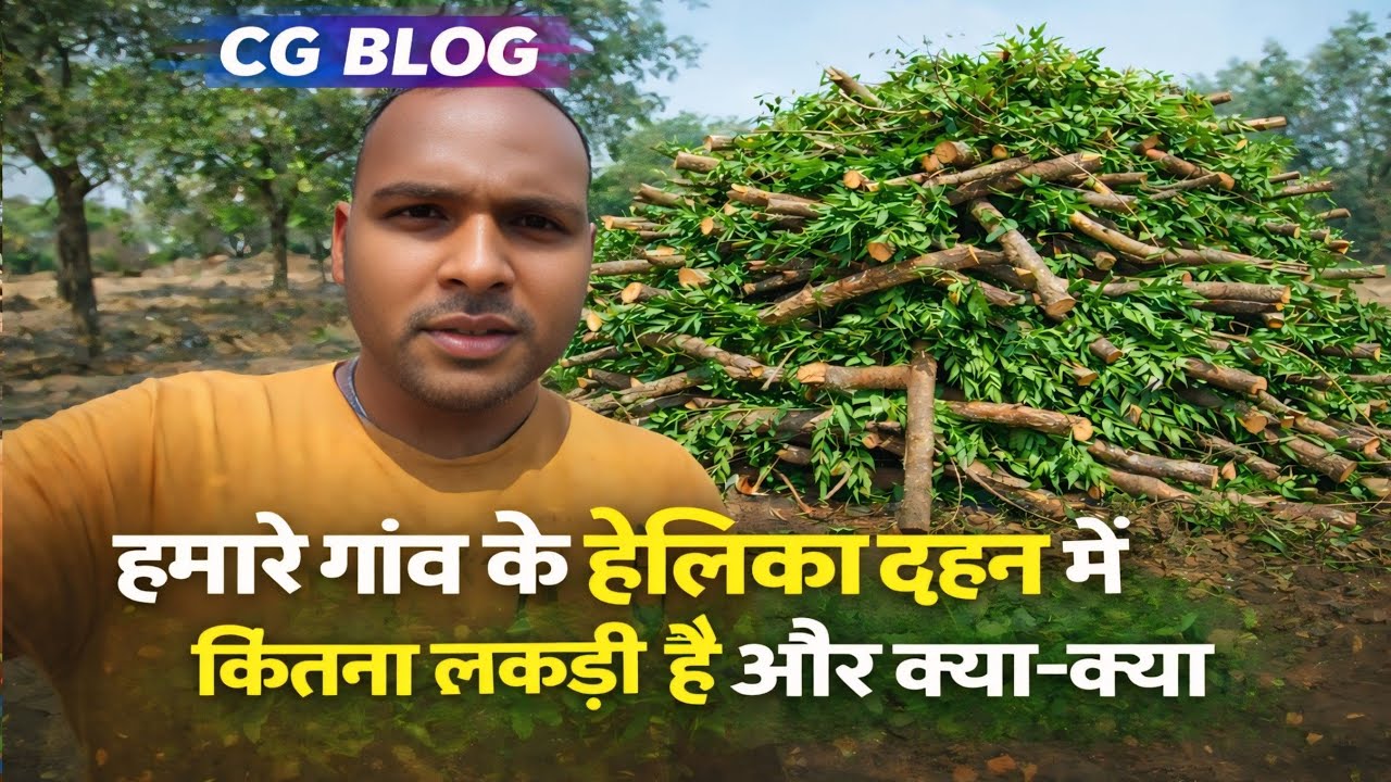 गांव के होलिका में क्या-क्या लकड़ी है देखकर मैं हैरान हो गया 😱