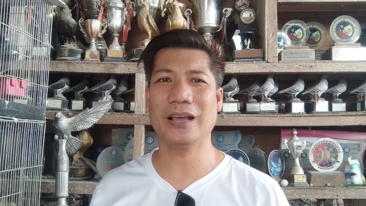 GOING LIGHT O SALMONELA?BASA ANG DUMI NG IBON? ETO MABISANG GAMOT.