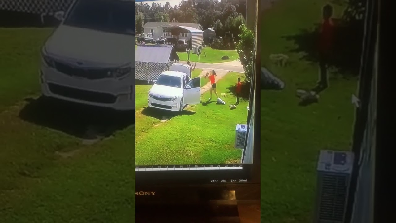 Instacart Delivery Driver Upset with Address Directions Throws Bags || ViralHog