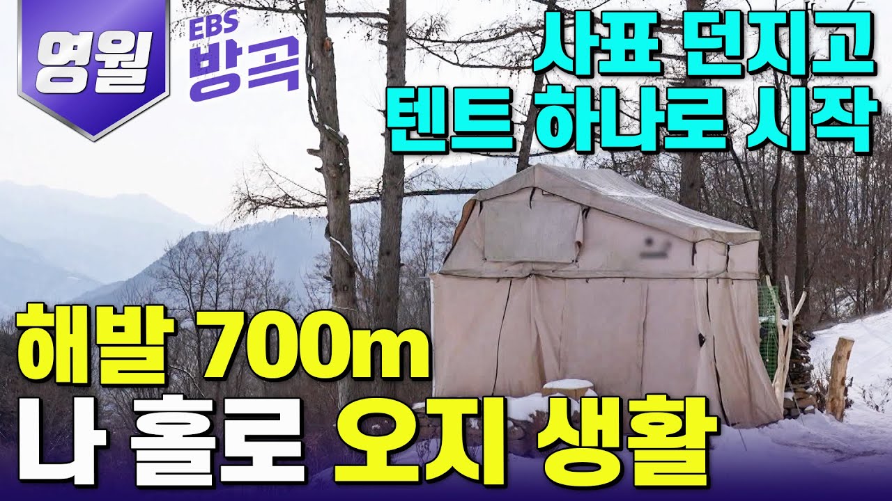 [강원 영월] '단 하루를 살아도 내 맘대로' 무작정 텐트 하나 가지고 떠나온 자연인 | #한국기행 #방방곡곡