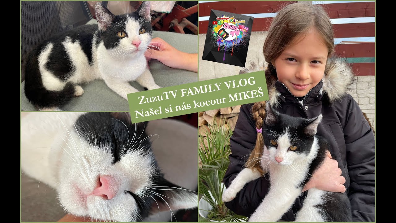 ZuzuTV FAMILY VLOG - Našel si nás kocour Mikeš 🐱