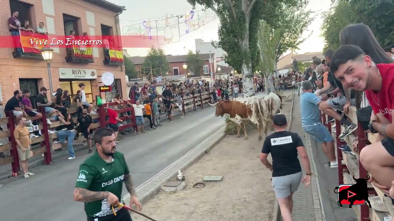 RESUMEN ENCIERRO COMPLETO NAVALCARNERO 11/09/25