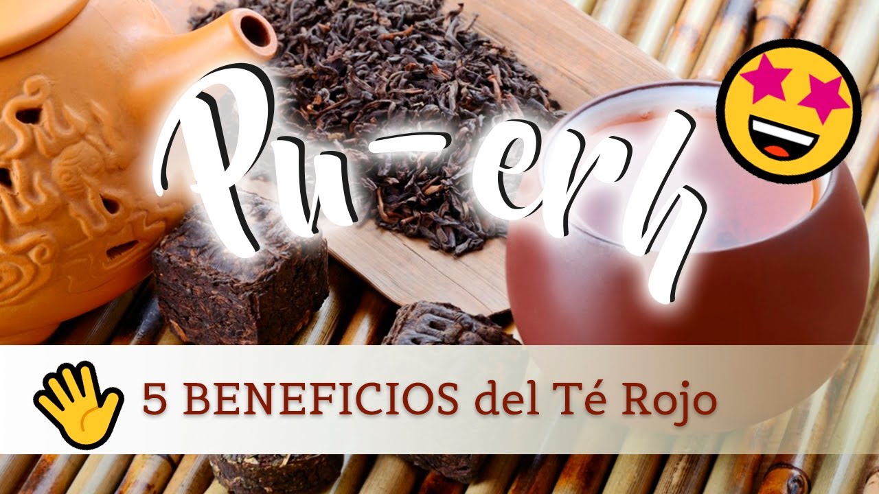 🍂5 BENEFICIOS del t&eacute; rojo o t&eacute; PU-ERH &iquest;Para qu&eacute; sirve?🍂