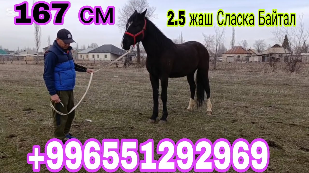 5-Февраль Бишкектен+996551292969