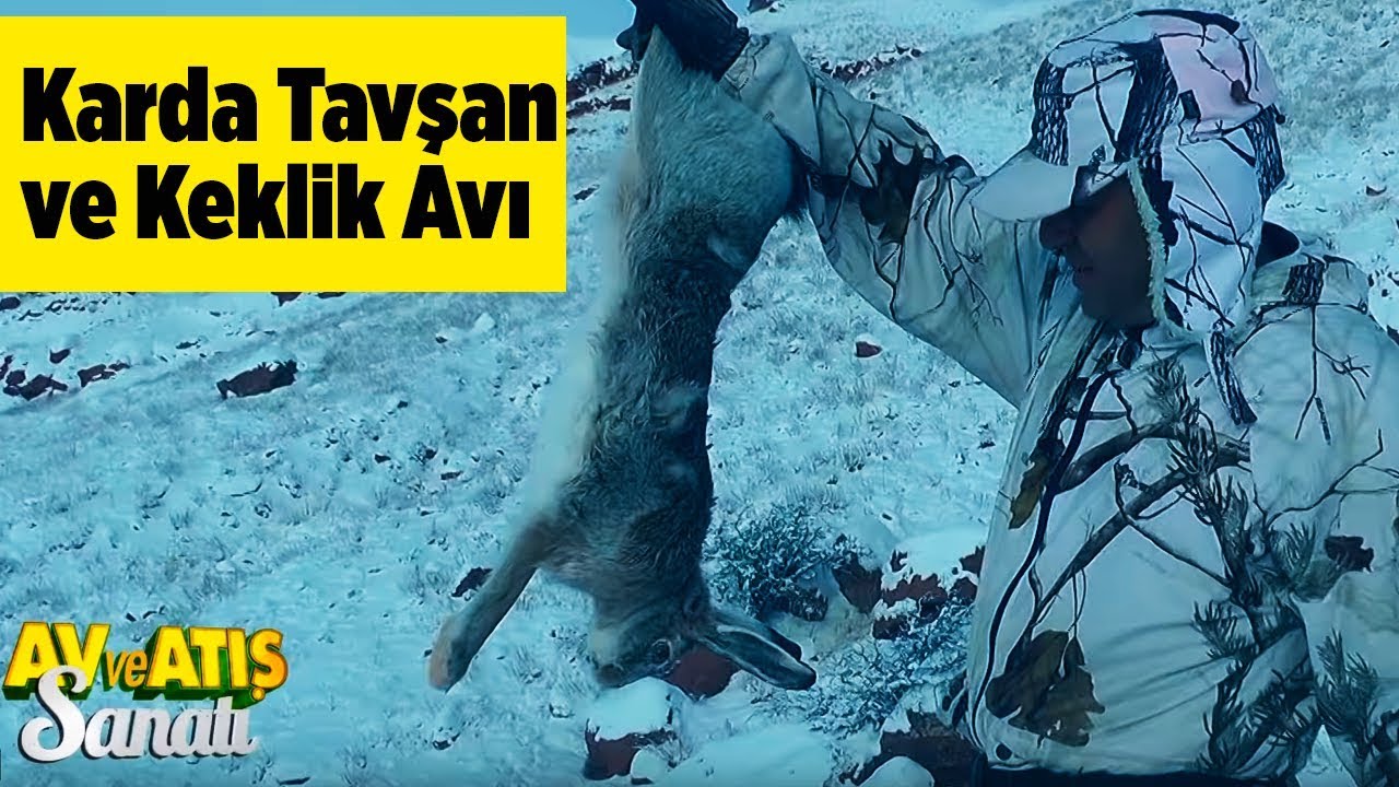 Karda Tavşan ve Keklik Avı  Av ve Atış Sanatı  Yaban Tv - Snow Rabbit and Partridge Hunting Turkey