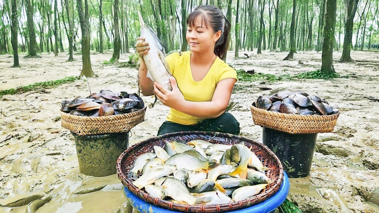 Catch 30kg of Mussel & Fish From A Big Lake Goes To Market Sell - Rural farm | New Free Bushcraft
