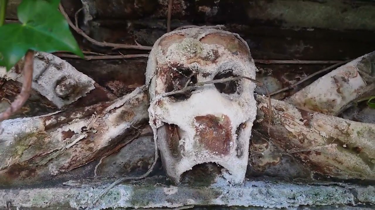 Walk around an old cemetery in Bo'ness, Scotland