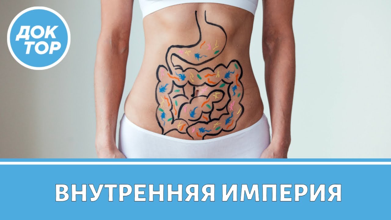 Что такое микробиом / Почему микробиом очень важен для организма