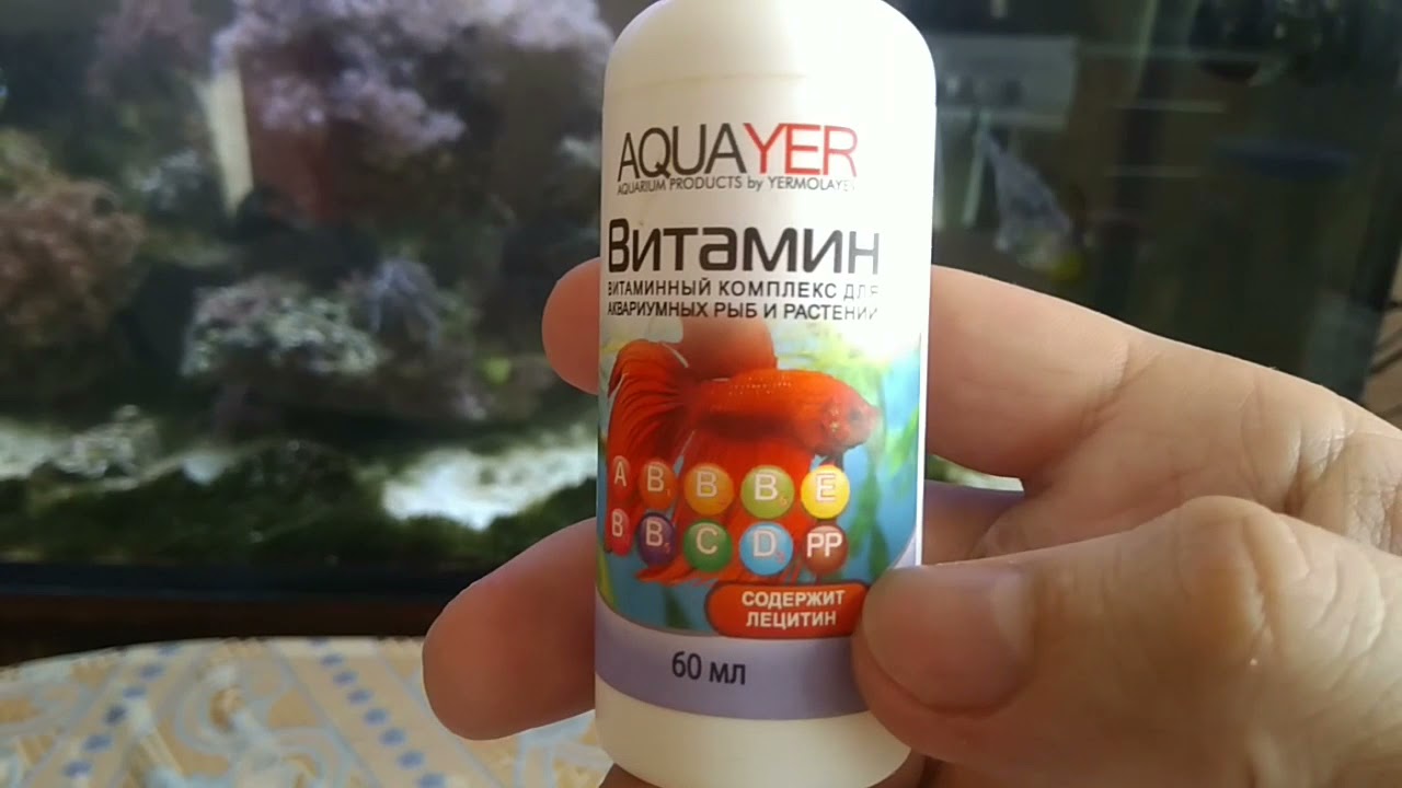 Biotop Marine 250 л. Морской аквариум без больших вложений