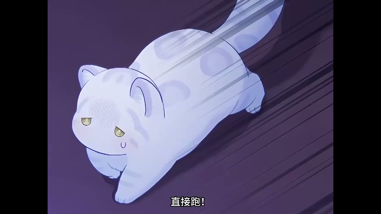 《黑豹家族的雪豹》第1至11集她因未能发挥自己的力量而被视作“无用的人”，因此被外祖父虐待，最终导致她的死亡。回到过去，她决定去找恨她的父亲。而现在，她对父亲和兄弟们的善良感到震惊。#西西漫解