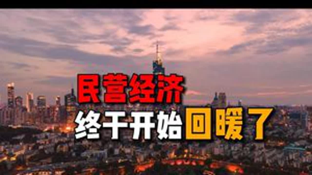 民营经济，终于开始回暖了 #TCL  #李东生  #不出海就出局  #2025夏季达沃斯