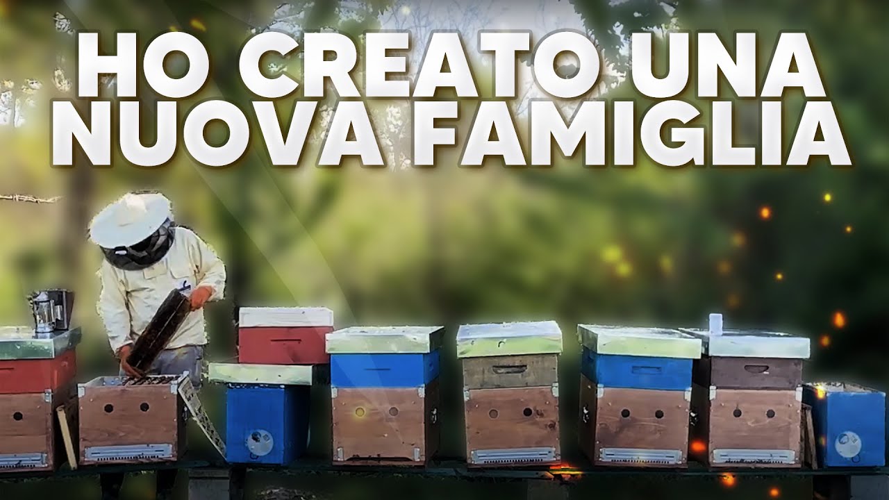 SCIAMATURA ARTIFICIALE: Come Creare una Nuova Famiglia di Api Passo dopo Passo 🐝