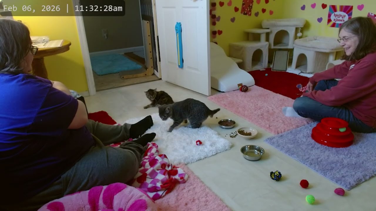 Kitkat Playroom: Fizz visits Jane for their first ever playdate!