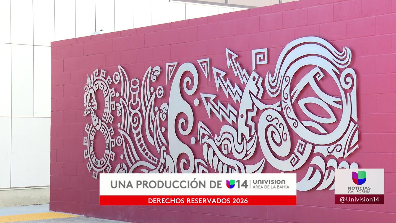🔴 En Vivo | Aficionados se preparan para el Súper Tazón   | 11 PM | 01.31.26