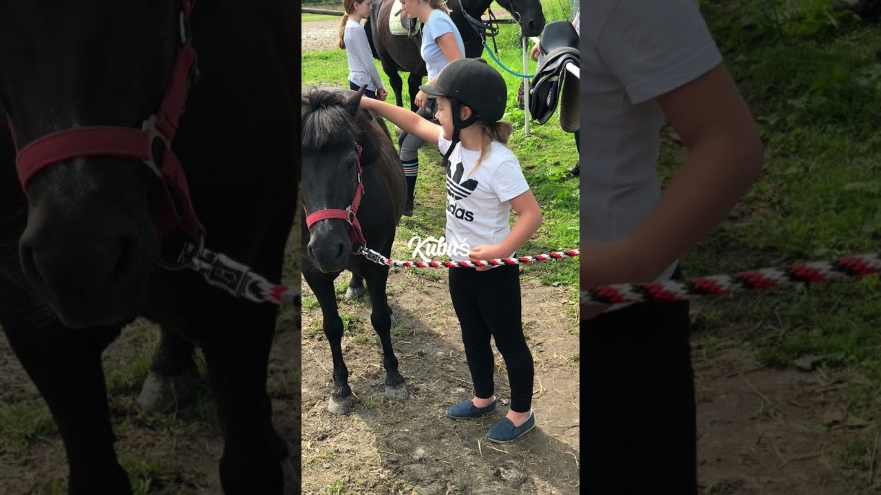 Kubuś💗 #cute #horse #synthvibes #music #equestrian #synthwavemagic #funny #synthwavecommunity #pony