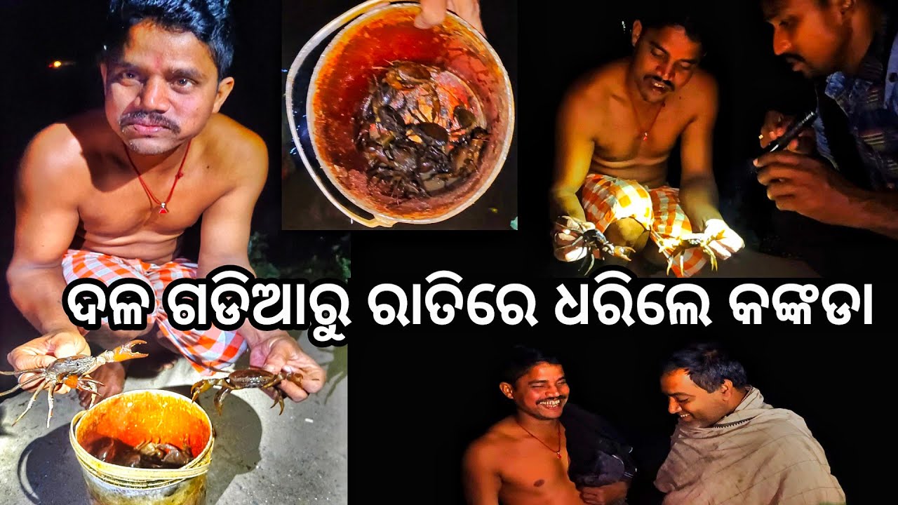 ଦଳ ଗଡିଆରୁ ରାତିରେ ଧରିଲେ କଙ୍କଡା 😋 l କଙ୍କଡା ସଭା କଲେ ଭଣ୍ଡୁର l Crab catching l Gouranga Nayak Odia Vlogs