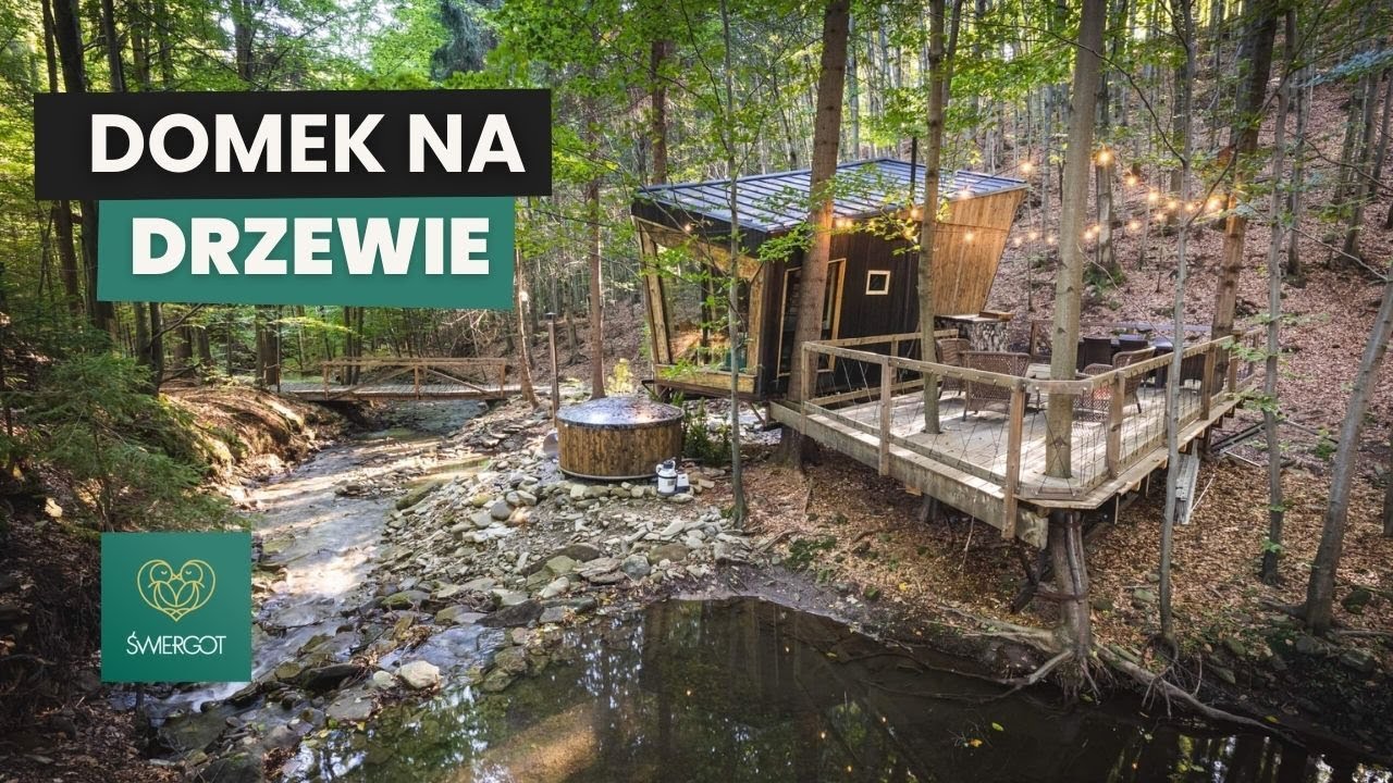 Świergot - domek na drzewie, w kt&oacute;rym chcielibyście uwić gniazdko