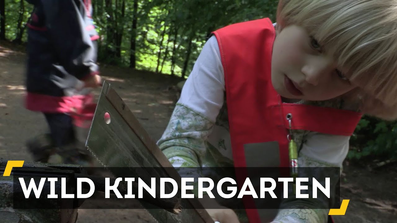 Kindergarten In The Wild