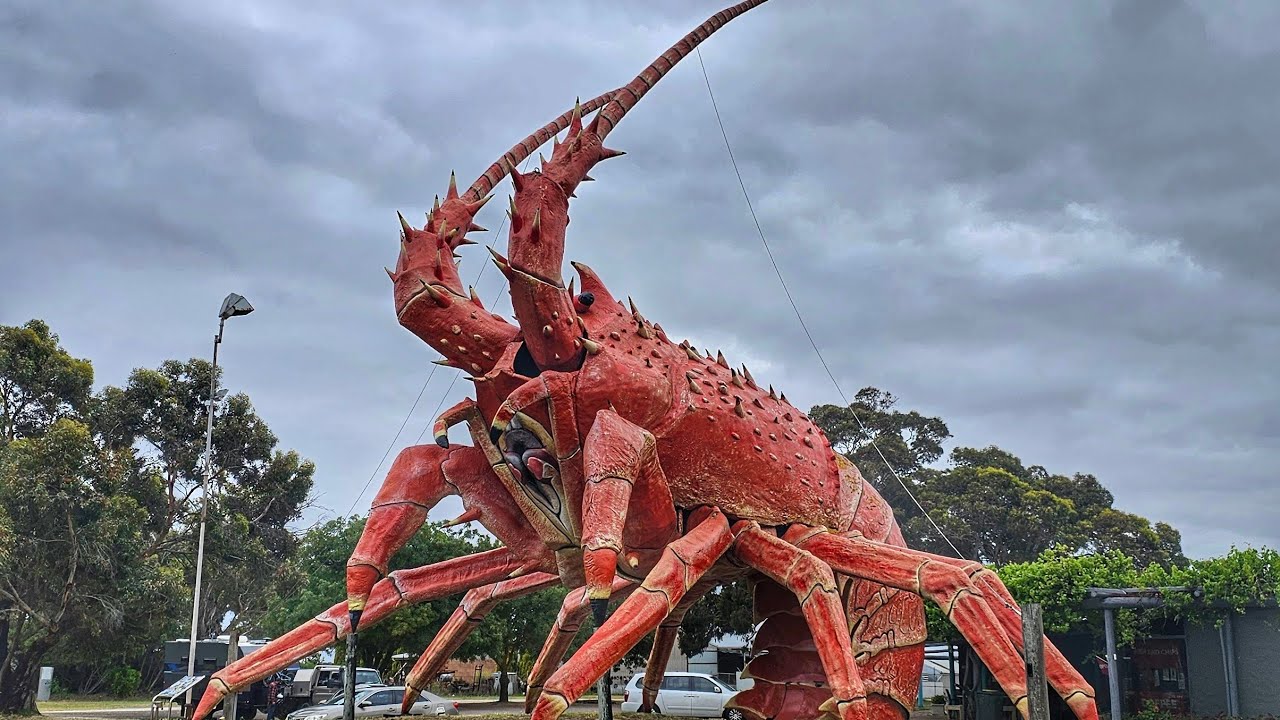 Week 34 Kingston SE & Beachport @NomadNavigatorsAus 