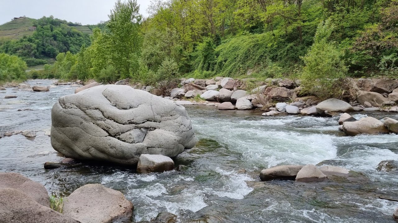 AVISIO Marmorate(ine) e Barbi a go go in val di Cembra 28/4/24