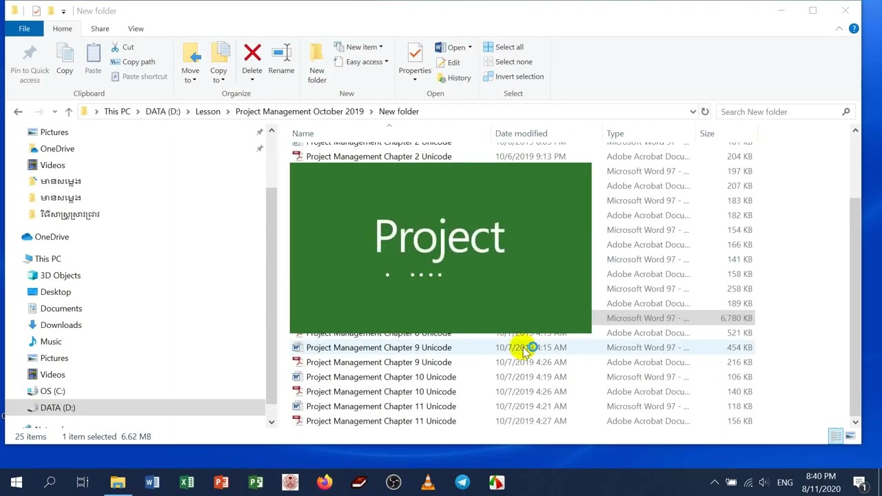 MS Project Converted