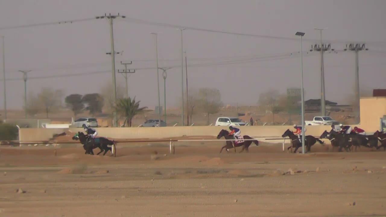 برنسيس الرياض الشوط الثاني أمسية الدكتور مهيدب المهيدب لسباق الخيل اليوم الأول وسم 1447هـ