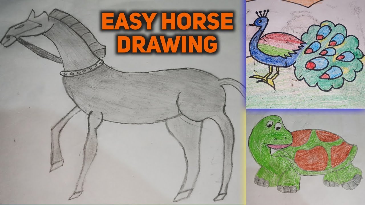 Easy Drawing | Horse | Art with ARNAV DUTTA