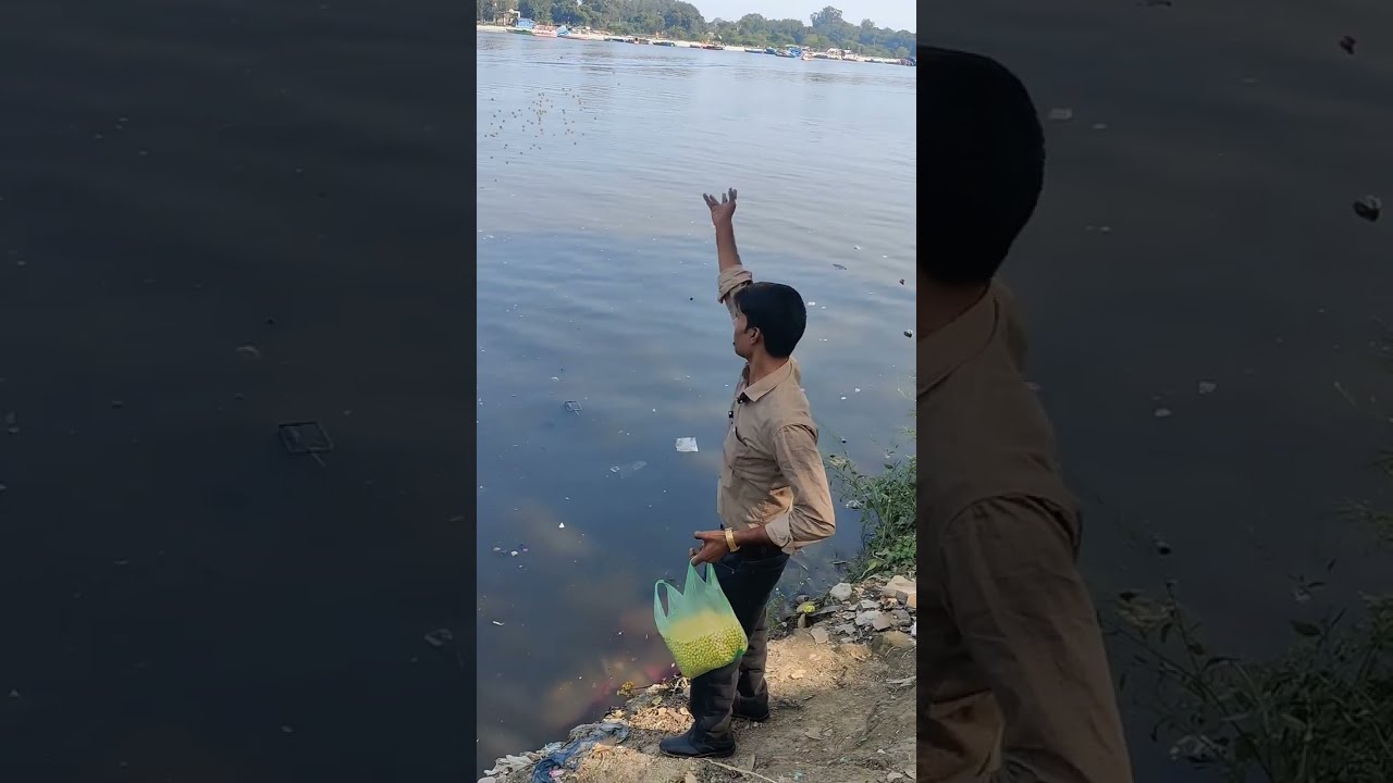 आज की सेवा में है मटर के दाने मछलियों के लिए 🐠🐟🐟🦈👏👏#youtubevideo 