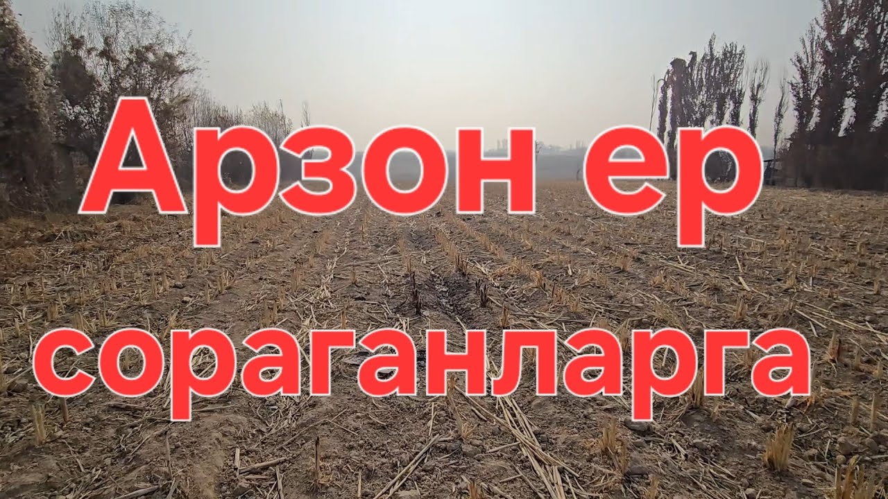 Курк Арзон ер Сотилади