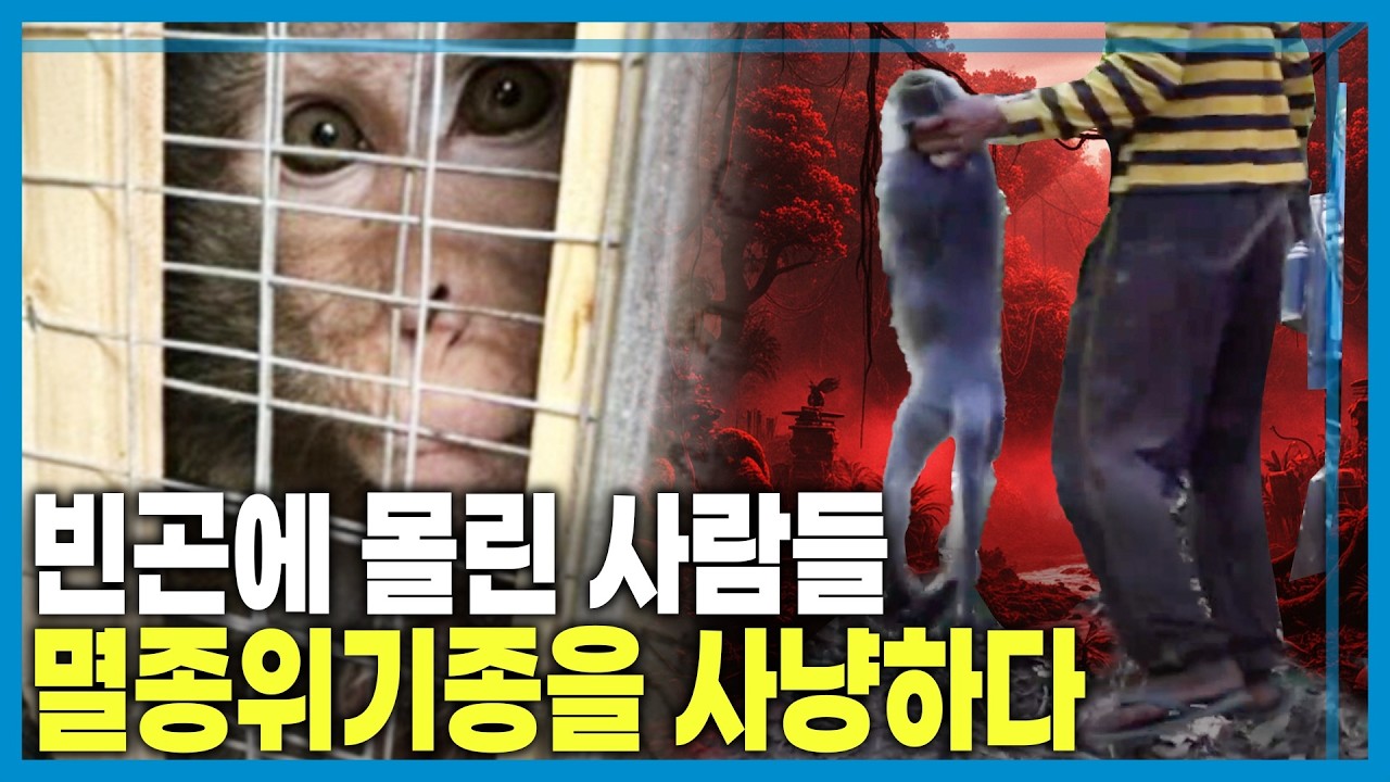 [특파원보고 세계는 지금] 🔴 라이브 📺 ㅣ (KBS_440회_2026.02.21.방송)