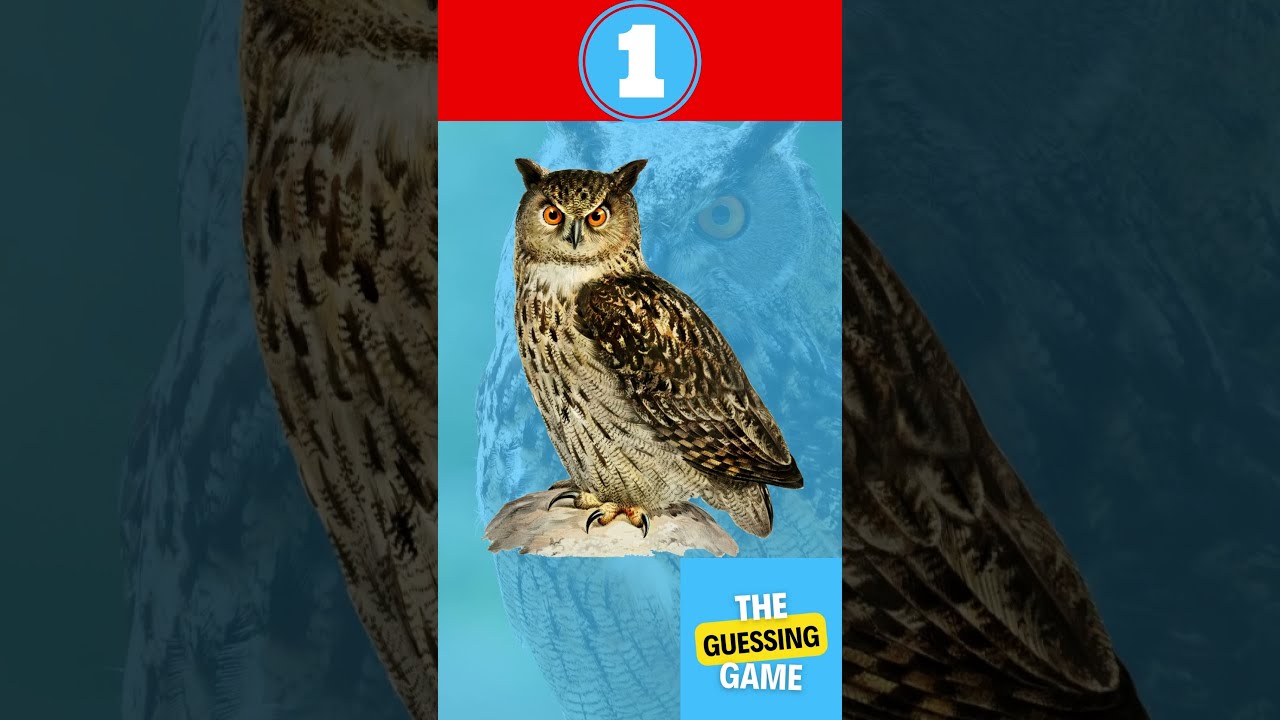 GUESS THE BIRD IN THREE SECONDS | #quiz #birds #youtube
