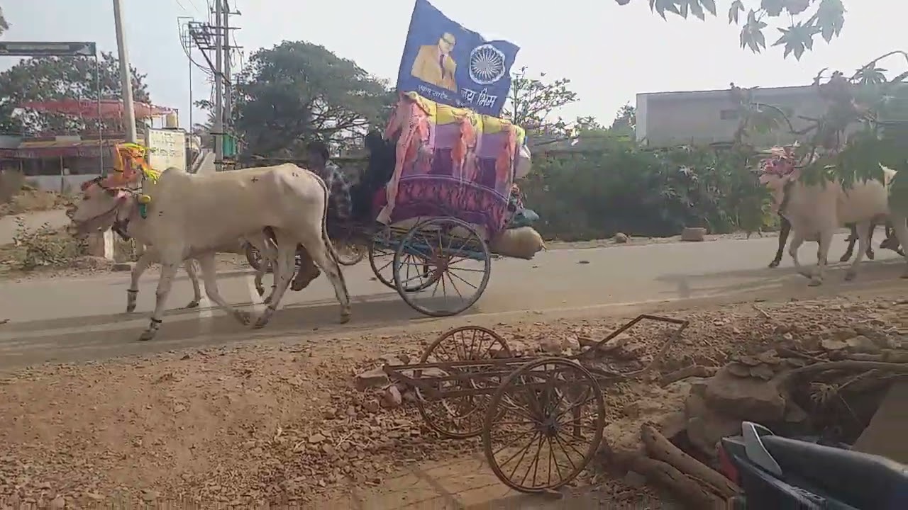🙏🙏Yallamma🙏🙏jatre#uttrakarnataka #viral #videos #love #trending #letsplay #music