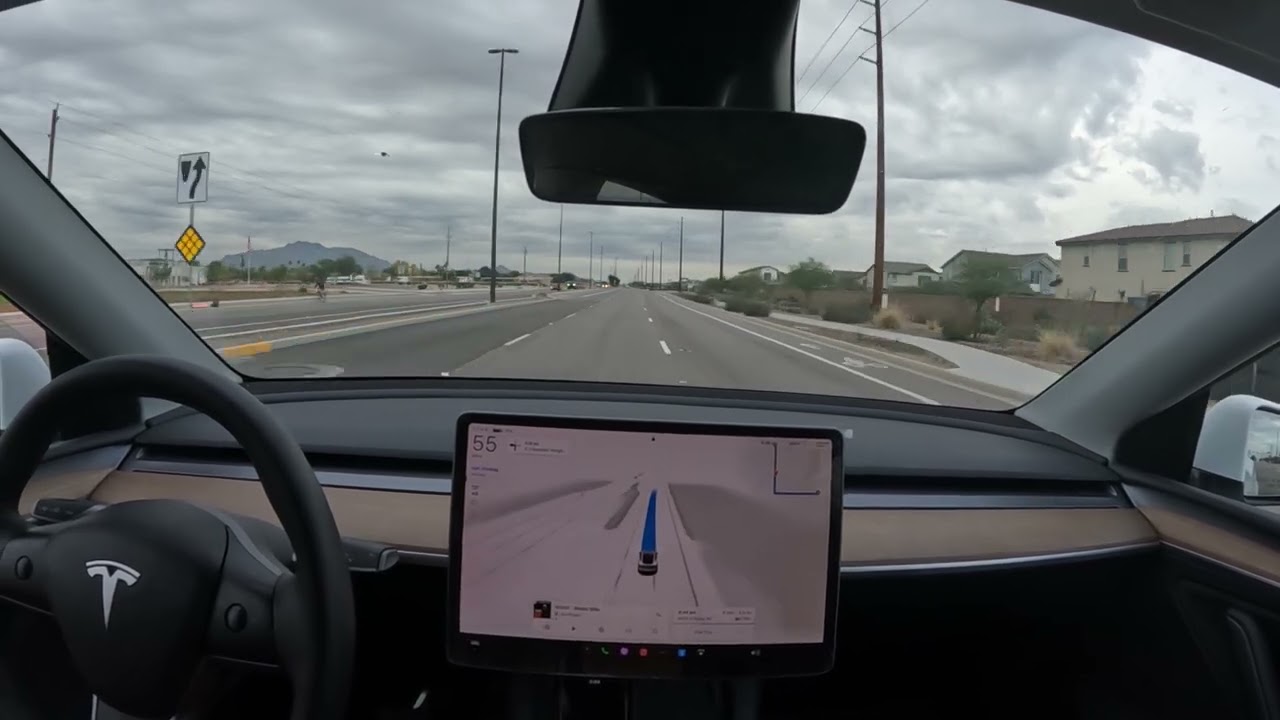 Tesla FSD Mad Max mode. 